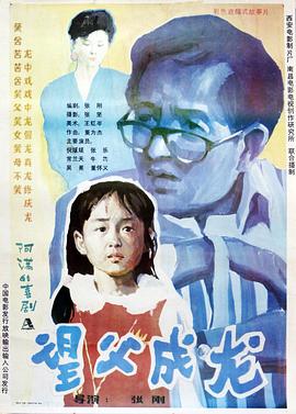 望父成龙海报