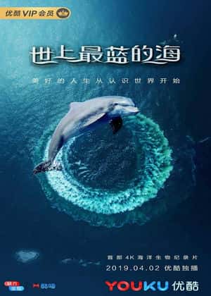 世上最蓝的海海报