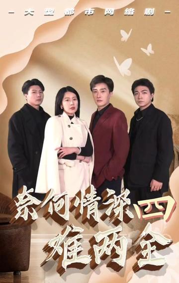 奈何情深难两全海报
