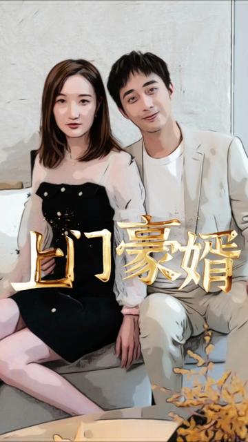 新：上门豪婿海报