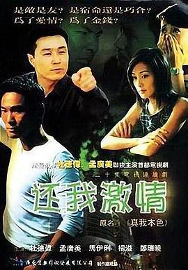 还我激情海报