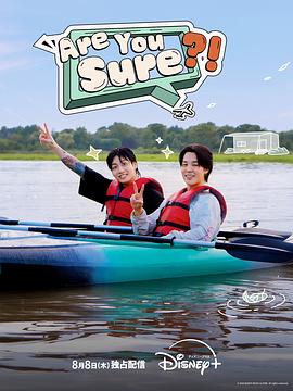 Are You Sure?海报