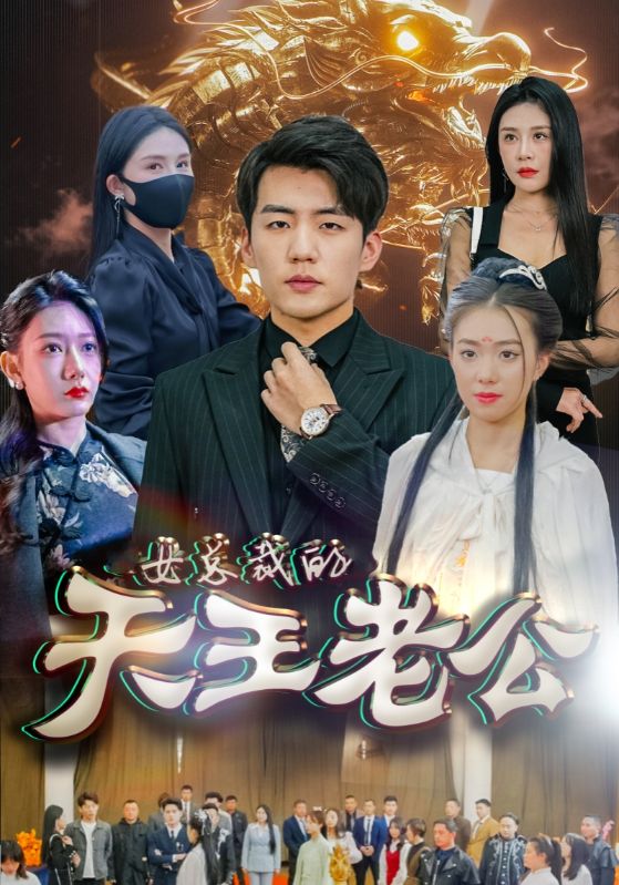绝世天王女总裁的天王老公海报