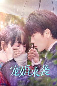 宠婚来袭海报