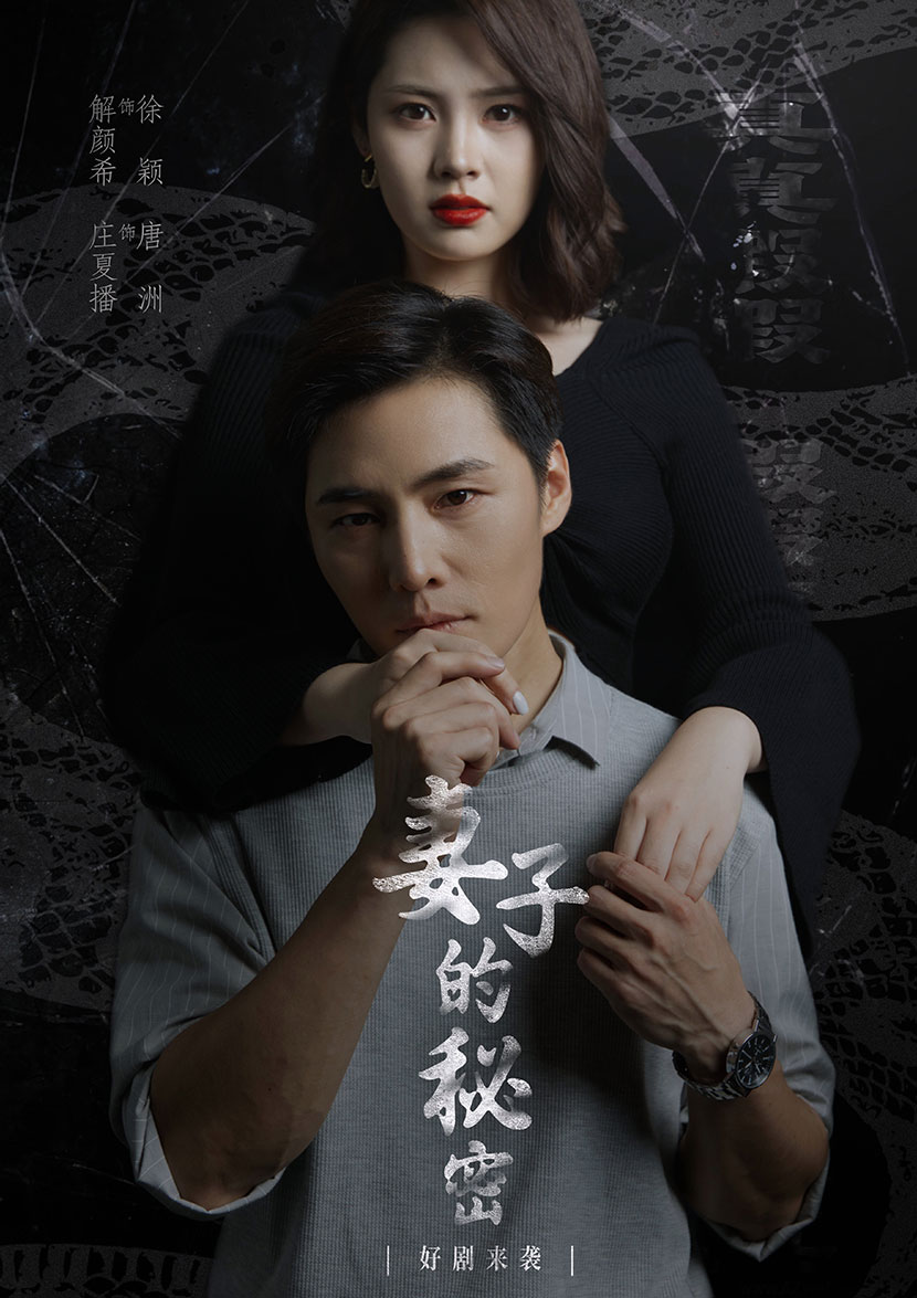 妻子不能说的秘密&妻子的秘密海报