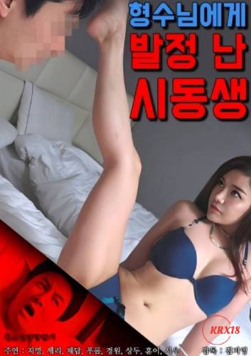 嫂子的诱惑海报