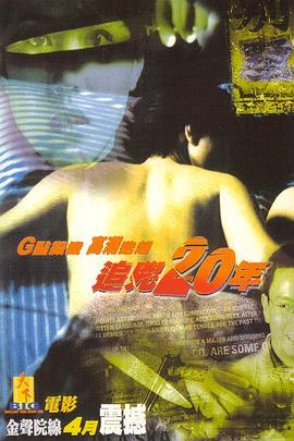 追凶20年海报