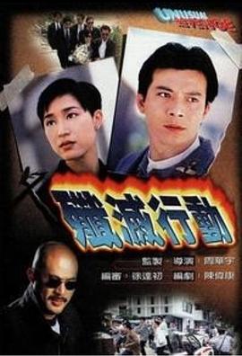 歼灭行动海报