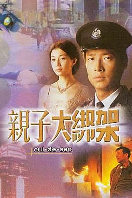 亲子大绑架海报