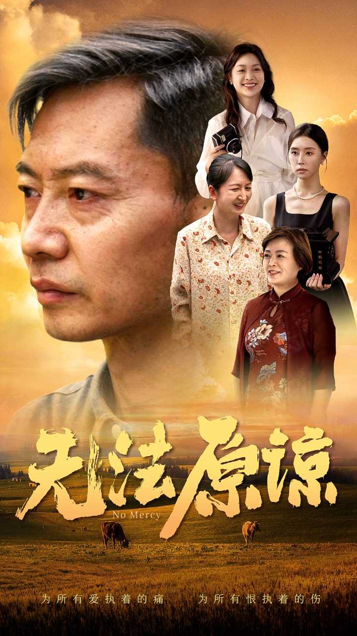 无法原谅海报