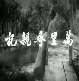 万里寻亲记海报