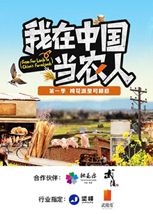 我在中国当农人海报