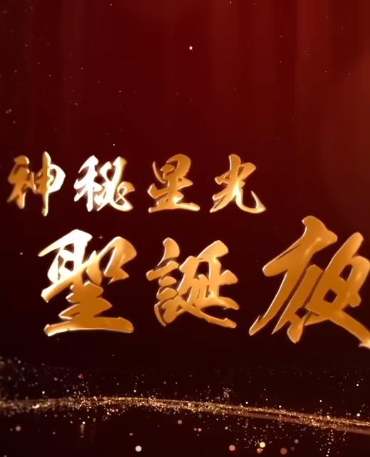 神秘星光圣诞夜海报