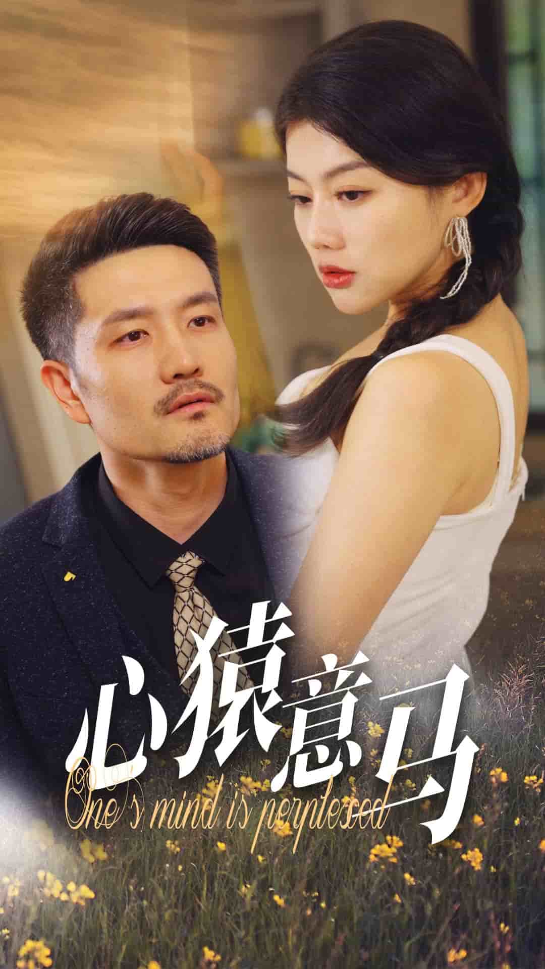 心猿意马海报