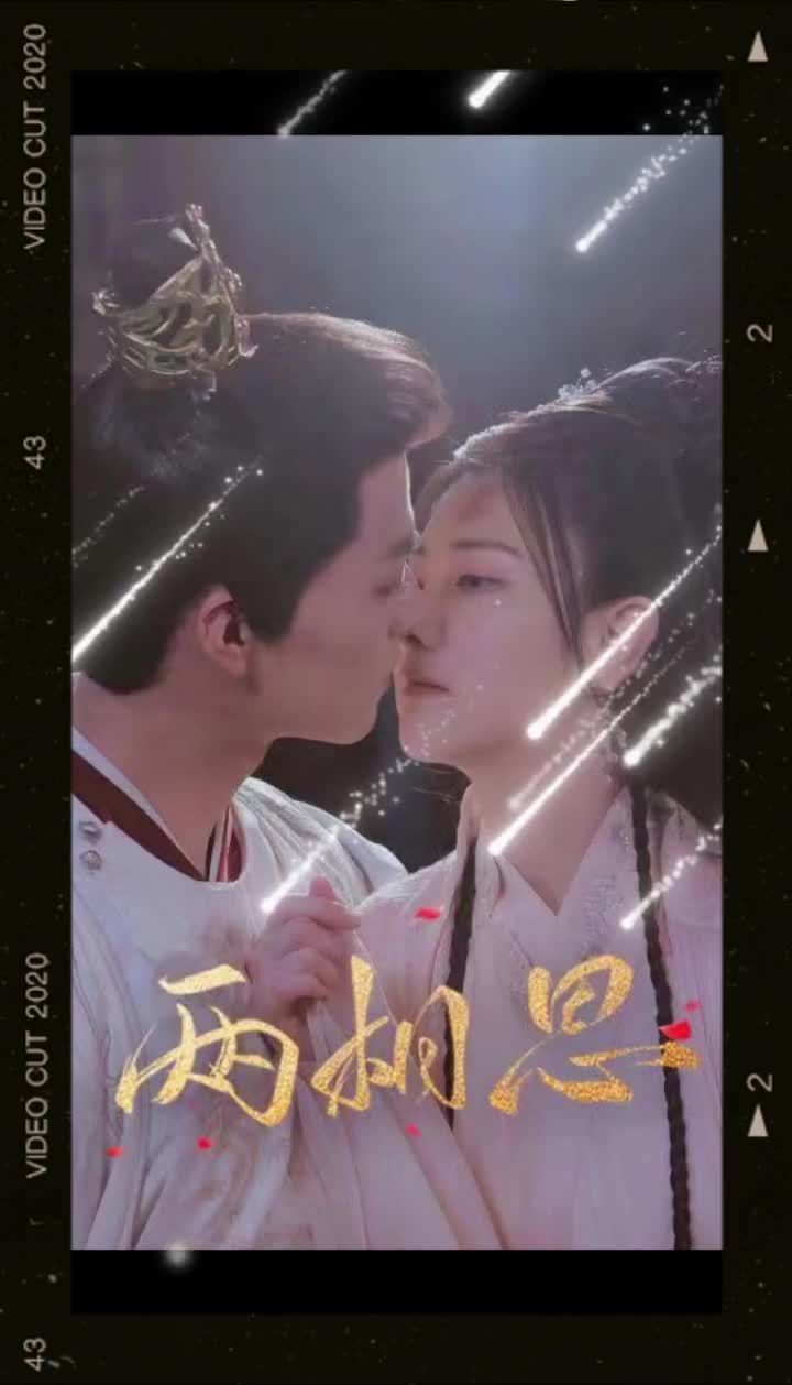 两相思海报