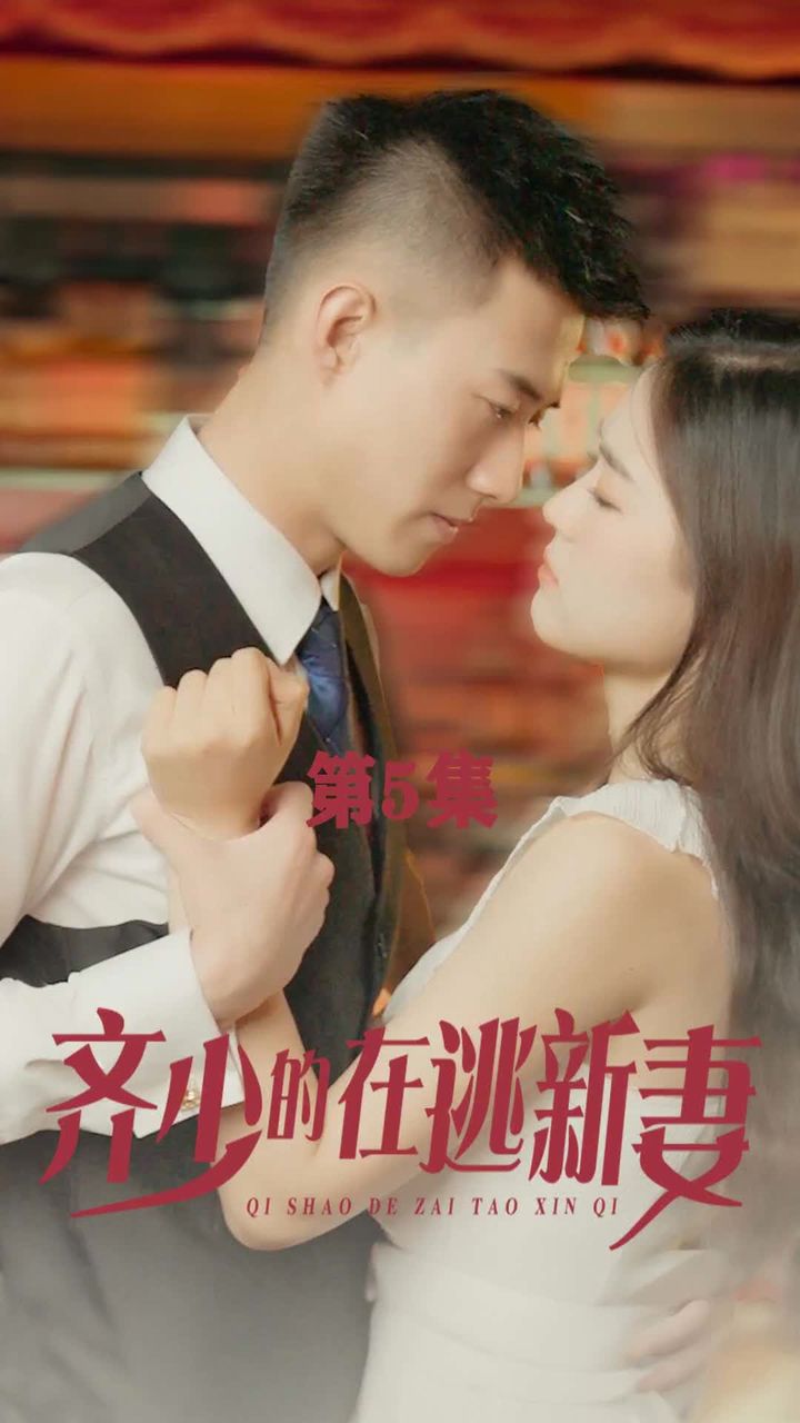 齐少的在逃新妻海报