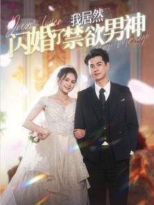 我居然闪婚了禁欲男神海报