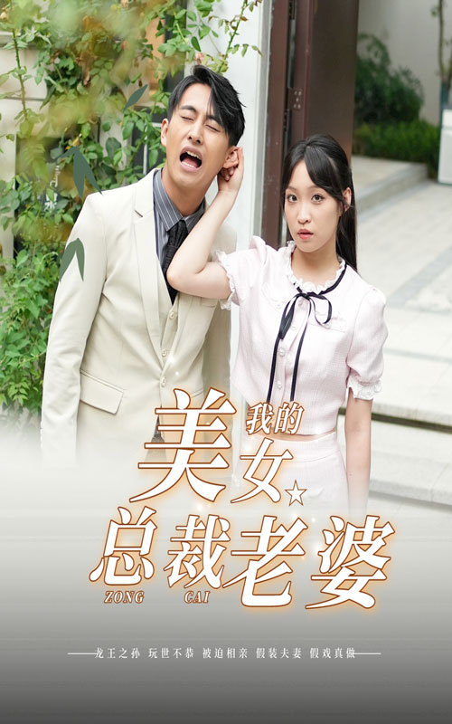 我的美女总裁老婆海报