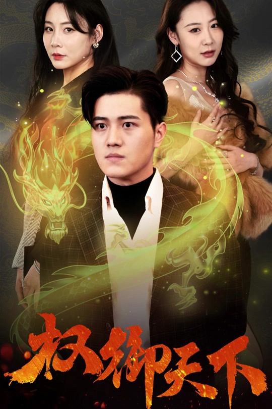 权御天下海报