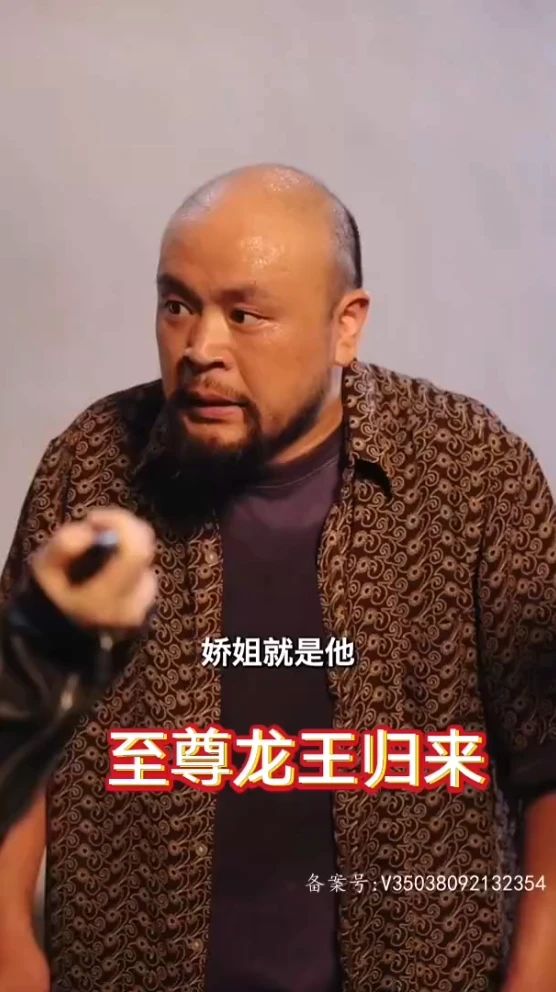 至尊龙王归来海报