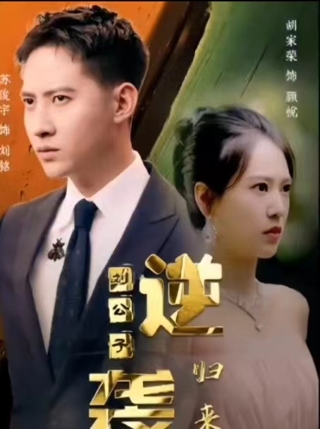 逆袭刘公子归来海报