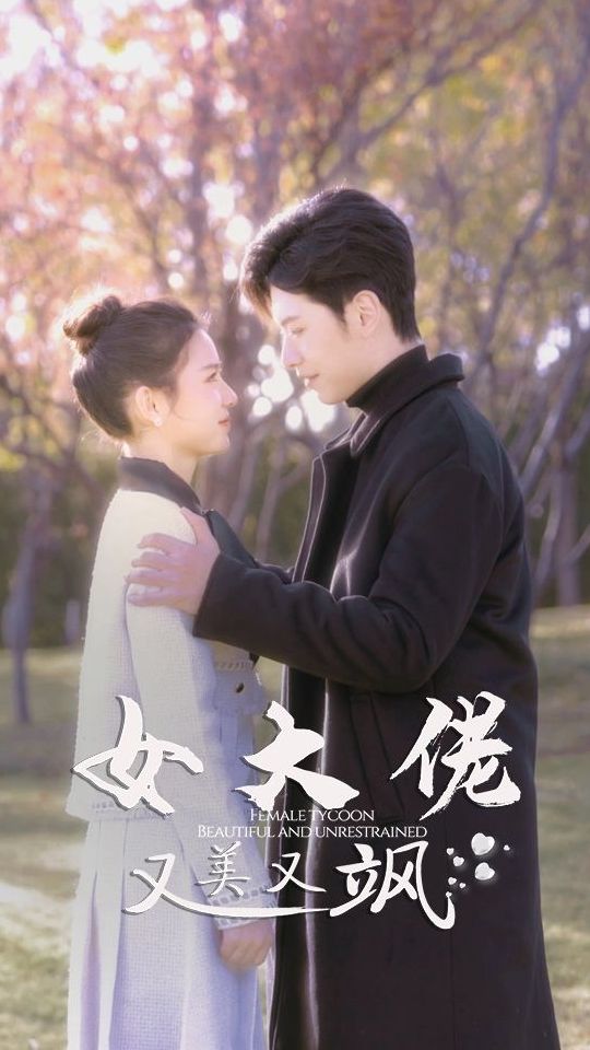女大佬又美又飒海报