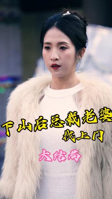 下山后总裁老婆找上门海报