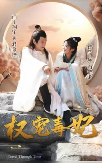 权宠毒妃海报