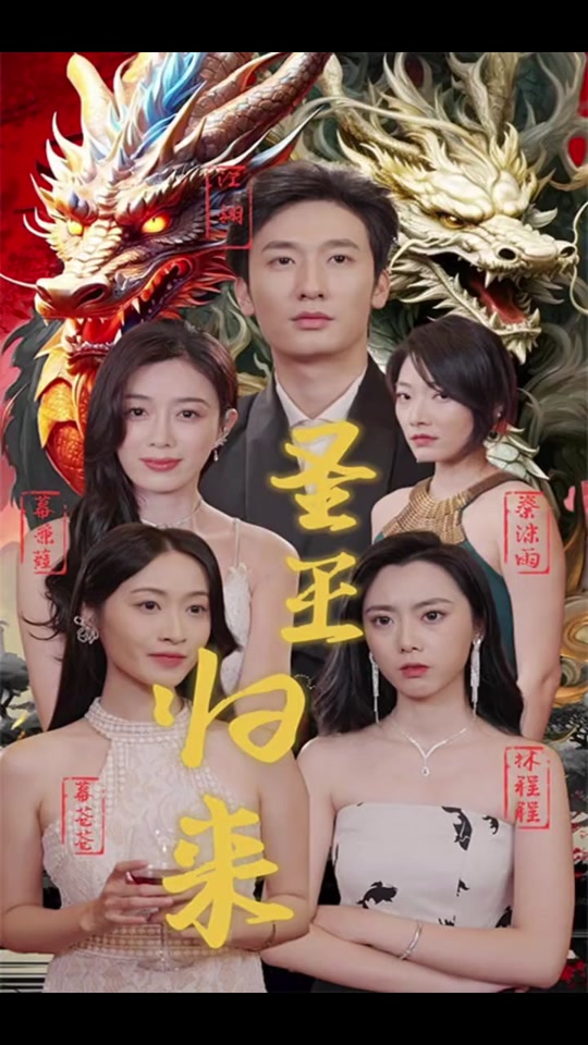 圣王归来海报