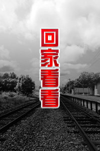 回家看看海报