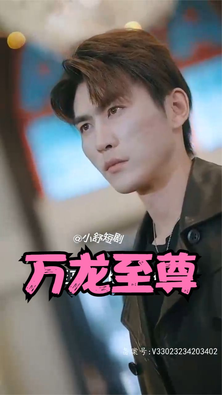 万龙至尊海报