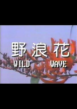 野浪花海报