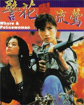 警花与流莺海报