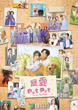 宠爱PetPet海报
