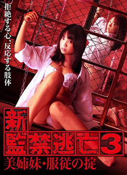 新监禁逃亡3：美姐妹服从守则海报