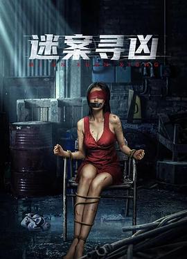 迷案寻凶海报