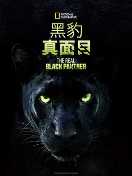 真黑豹无双海报