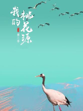 我的桃花源第三季海报