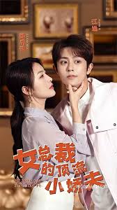 女总裁的顶流小娇夫海报