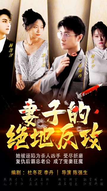 妻子的绝地反攻海报