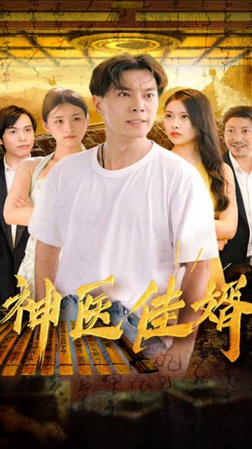 神医佳婿海报