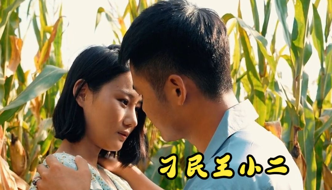 刁民王小二海报