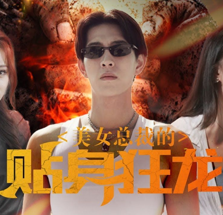 美女总裁的贴身狂龙海报