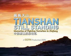 巍巍天山——中国新疆反恐记忆海报