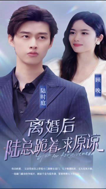 离婚后，陆总跪着求原谅海报