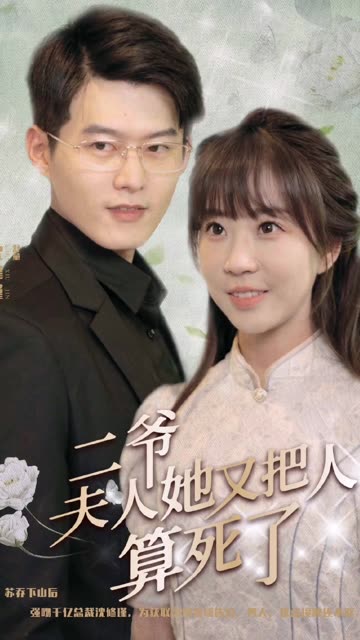 二爷，夫人她又把人算死了海报