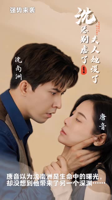 沈总别虐了，夫人她没了海报