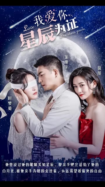 我爱你，星辰为证海报