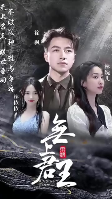 无上君王海报