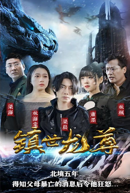 镇世龙尊海报